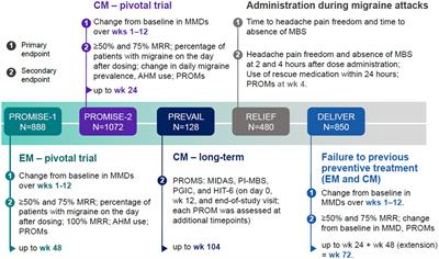 Eptinezumab for the preventive treatment of episodic and chronic migraine: a narrative review